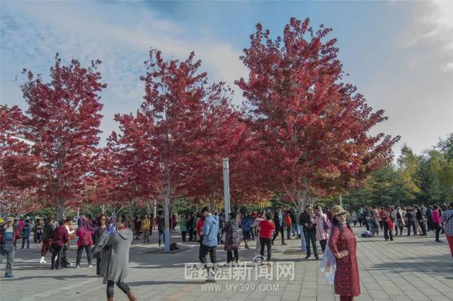 天美传媒在线观看一线二线