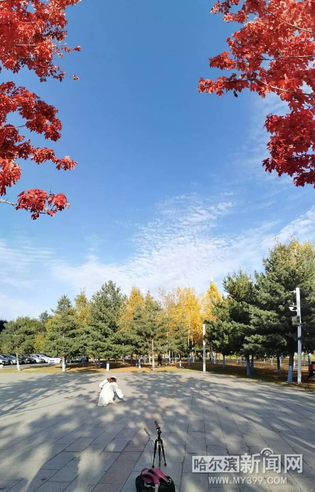 幼幼系列関西援交千春 幼幼援交幼幼援交对不起