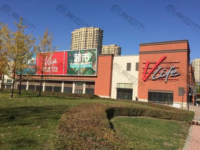 久久久久久精品免费