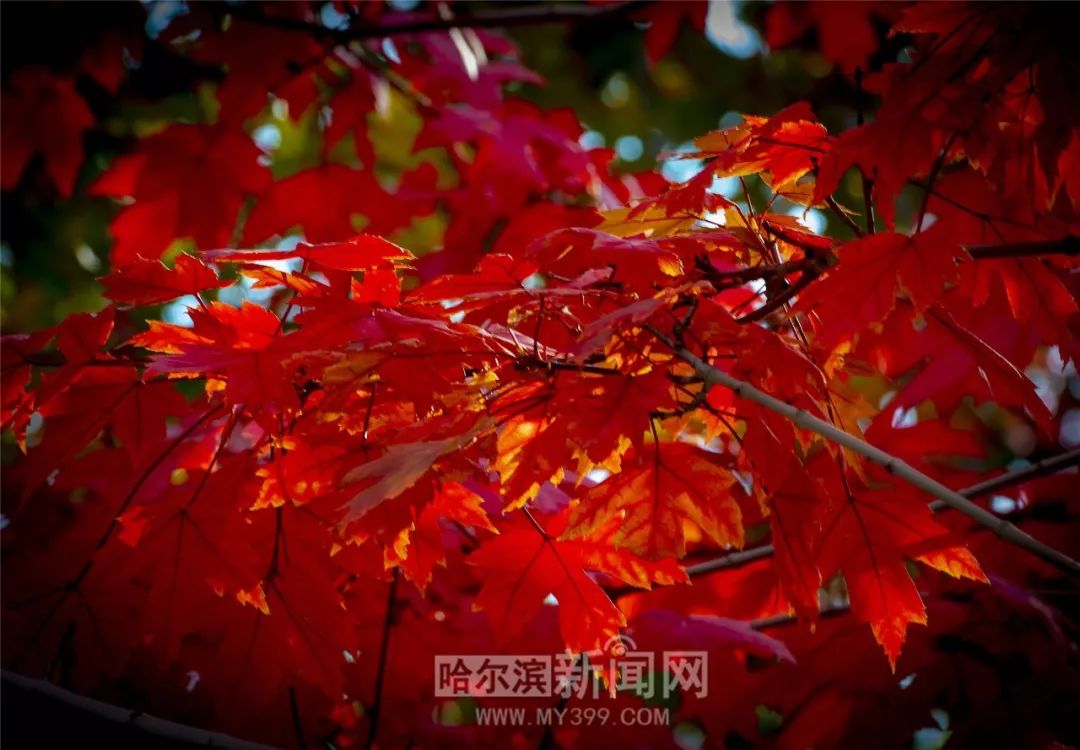 男 同 PrEP暴露前预防用药等）