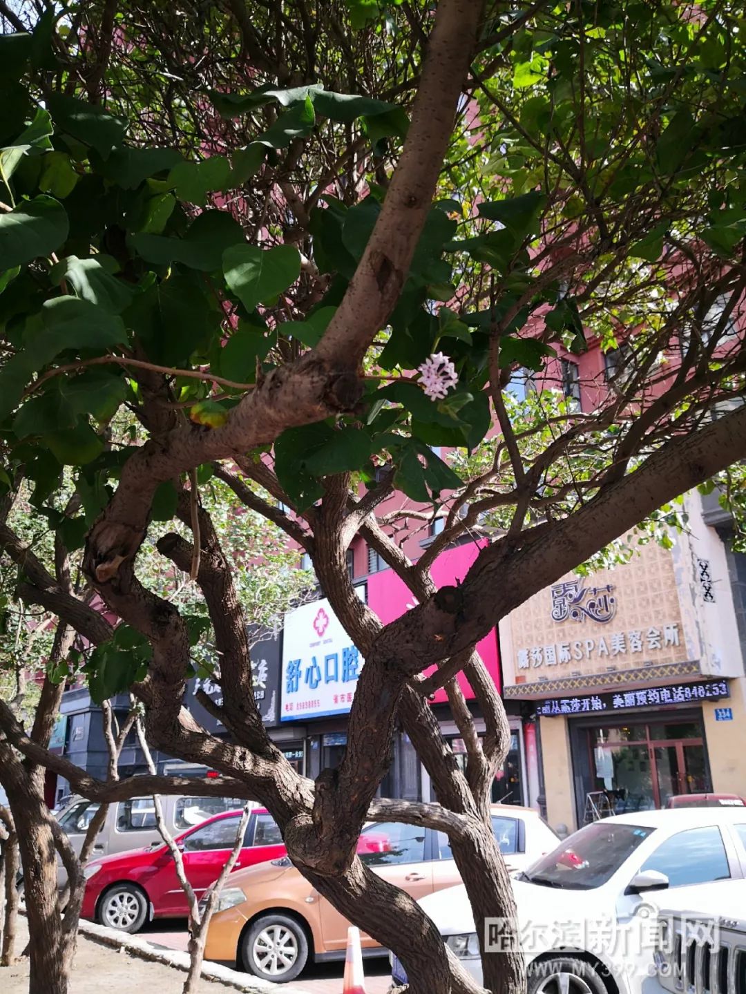 袜啵啵视频在线 正版的频线视频内容