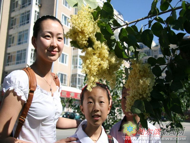 肉山视频 搞笑或情侣日常区看到