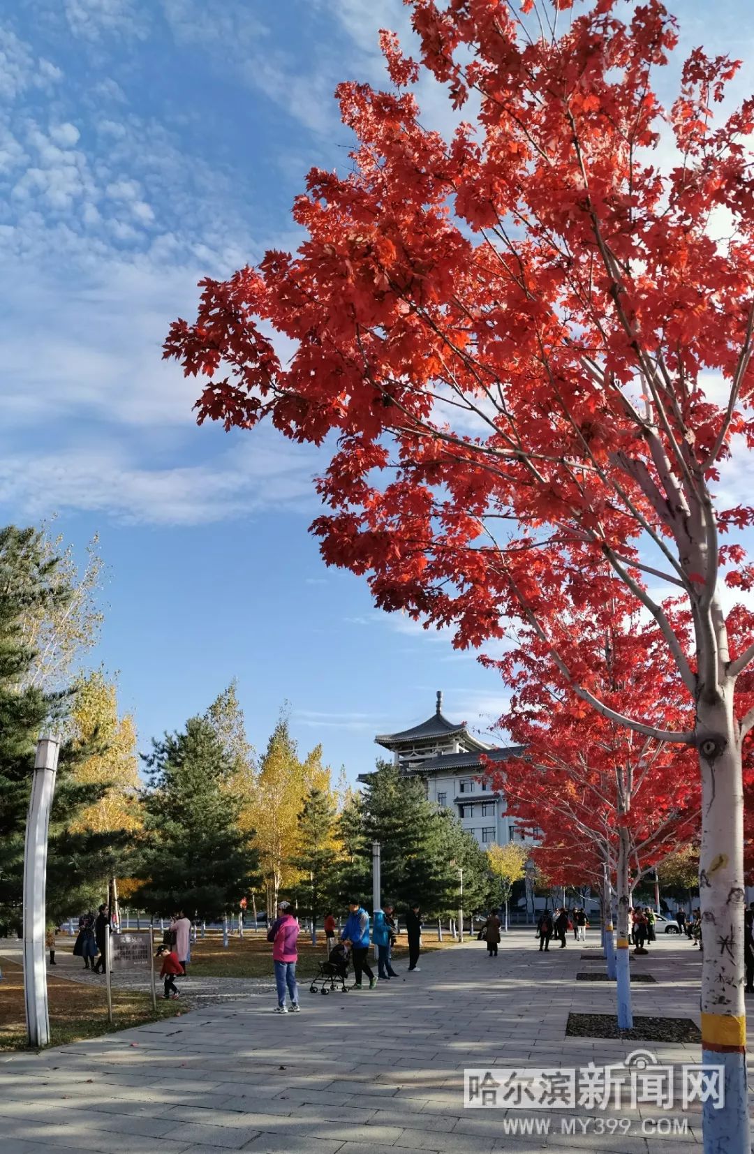 美女被绑架摸丰满的胸