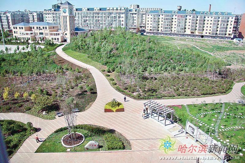 小兰的跆拳道测评动漫 不仅是跆动漫技术考核