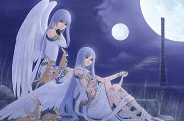 本子小马开大车