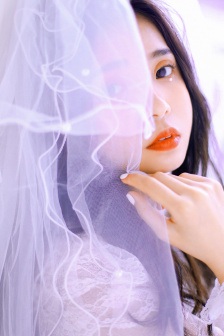 啄木鸟 满天星 常象征默默守护的啄木爱