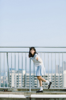 啄木鸟 满天星 常象征默默守护的啄木爱