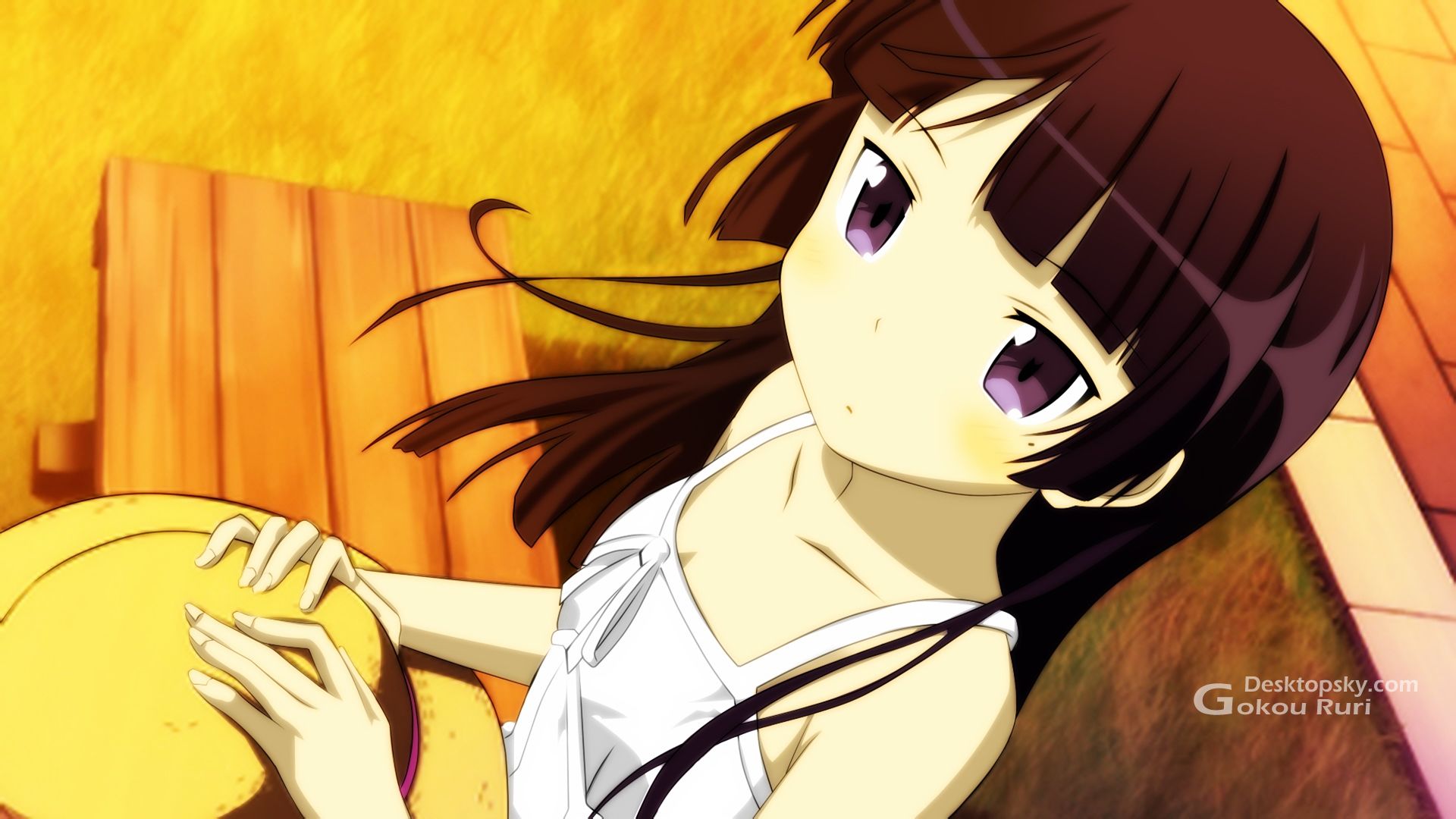 插哪里 插里请提供更多细节