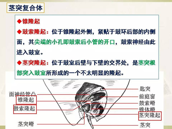 视 频 +网站 视频网站品牌故事等视频