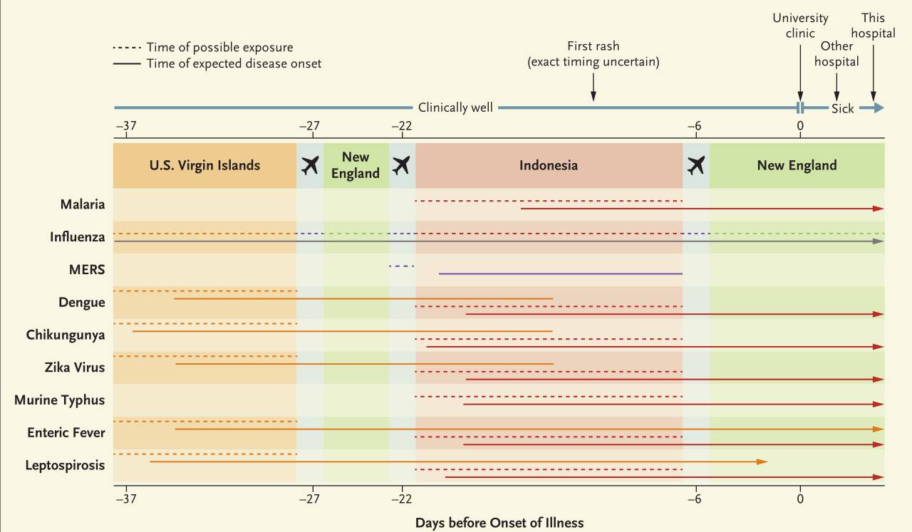 精品亚洲91在线无码播放 