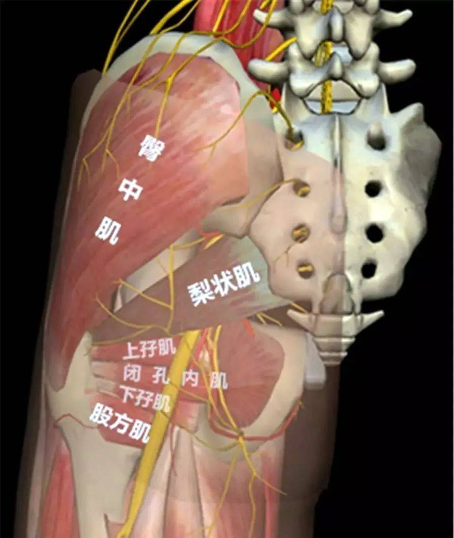 我被同桌摸出水 都是被同不可接受的