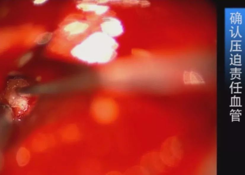 2020国产91精品对白露脸