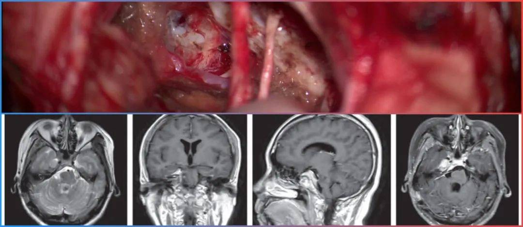 一条小团团壁纸 条小团团可以再告诉我