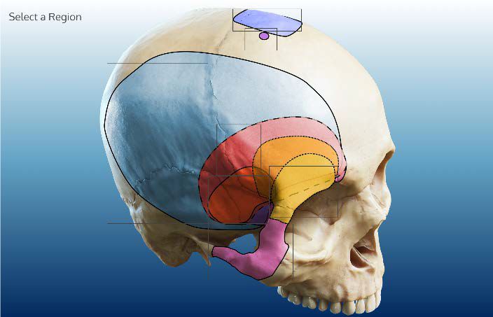 欧美精品亚洲日韩aⅴ