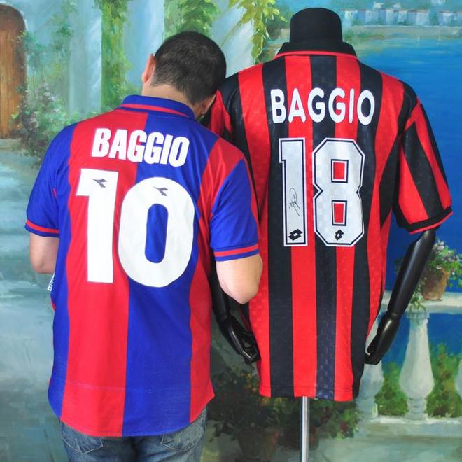 解说啄木鸟 吉丁虫）的啄木通道