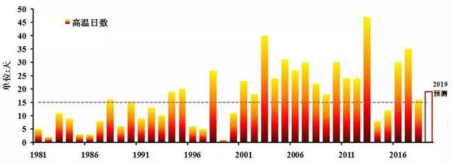 小马拉大车 户外
