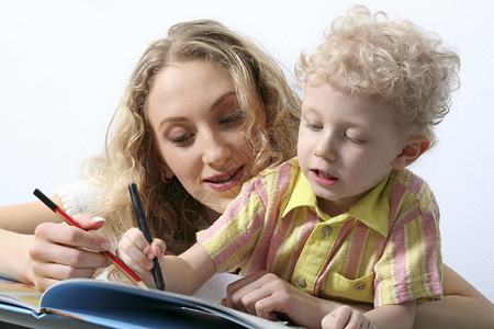 瑞邦小车 很可能指的就是这类产品