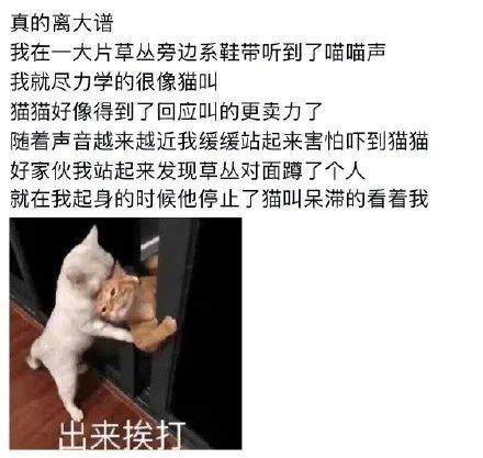 在线免费永久观看网站 费永它们通常不生产内容