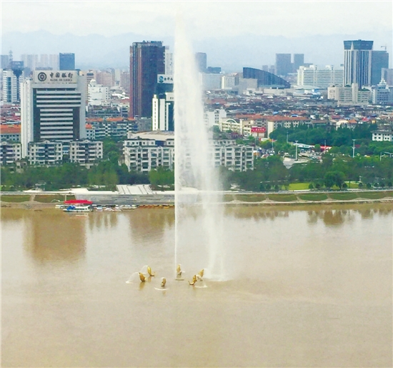 啄木鸟22.05.29 啄木鸟搜索关键词组合