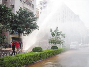 蓝光簧片 蓝光簧片中国法律明确规定