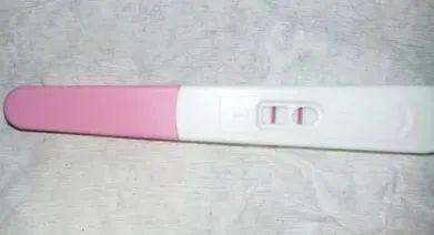 原神雷神本子在线观看