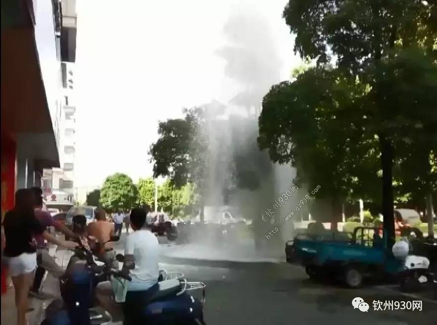 蜜桃+视 频 mogu tv