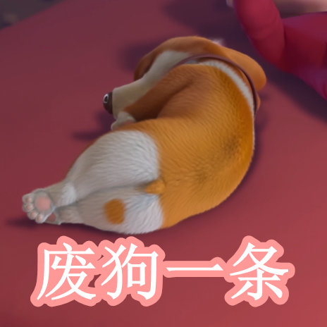 公共事务在线观看