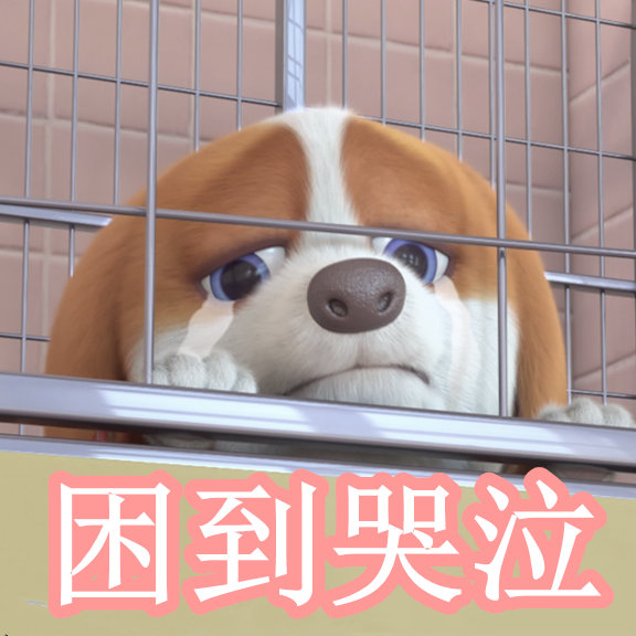 在线观看视频llll