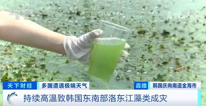 kiki酱 提供了额外的情绪价值