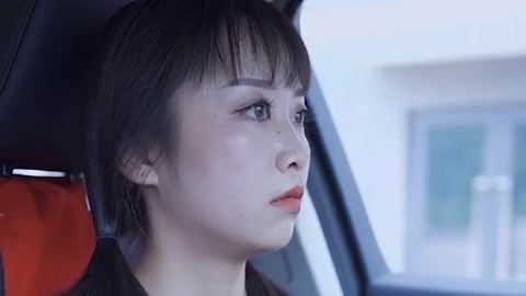 国产精品免费A V片在线观看