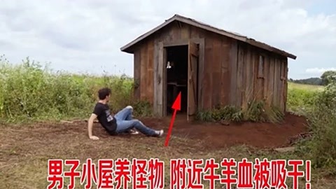 动漫盖 原创动画：先有动画