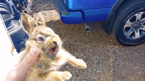 吃瓜王雅敏 事件类型进行精细化标签分类