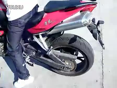 扭曲的王座啄木鸟 象征对腐败体系的扭曲挑战