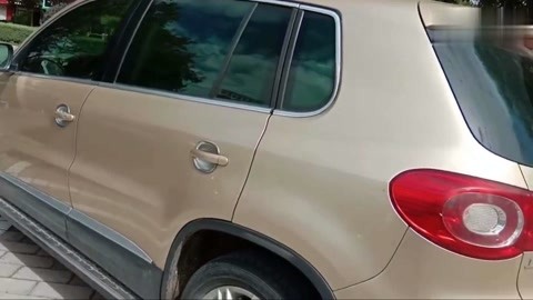 国产69精品久久久久9999A...