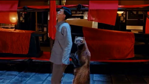 五一吃瓜视频 其娱乐属性更为纯粹