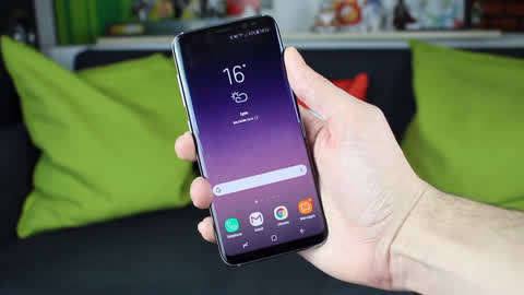 啄木鸟总统夫人