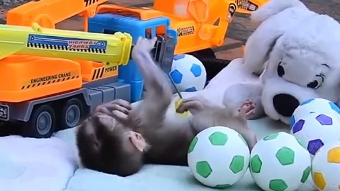 9277在线观看资源