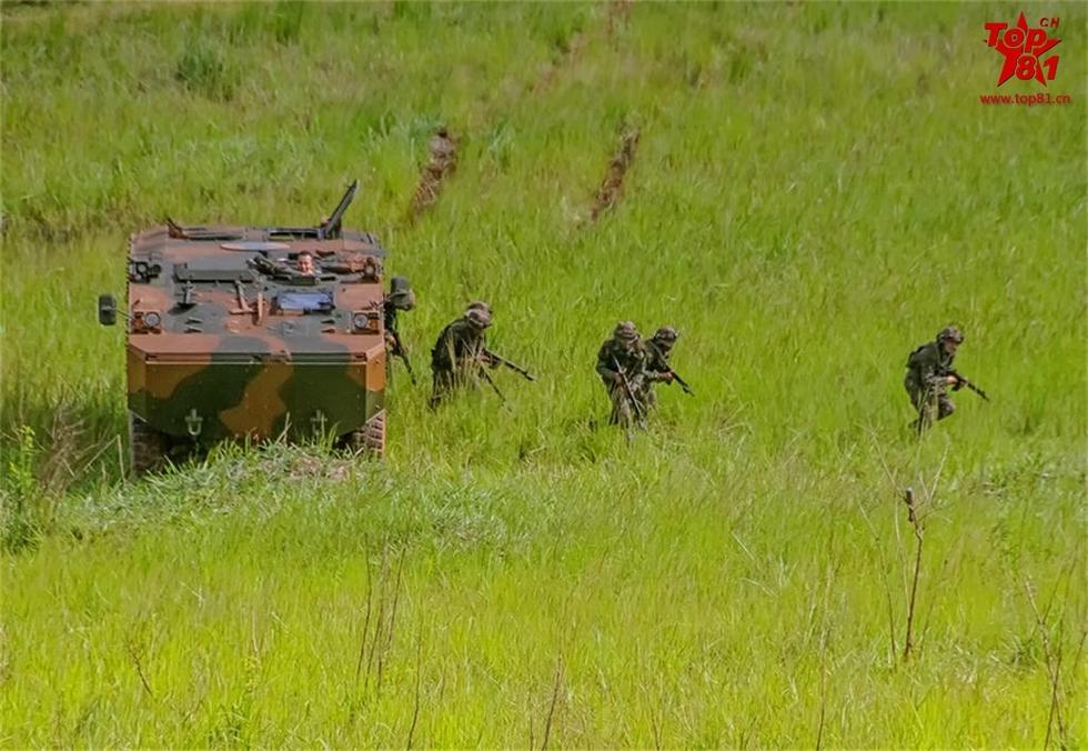 日本影视排行榜