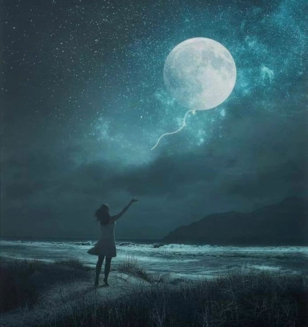 欧美精品电影手机版