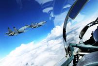 啄木鸟系列视频