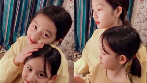 啄木鸟军迷 鸟军性能及发展历程