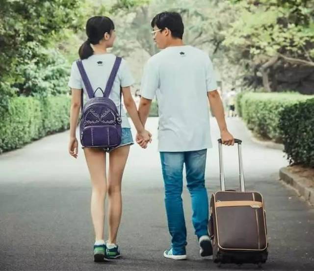 小马拉大车小说