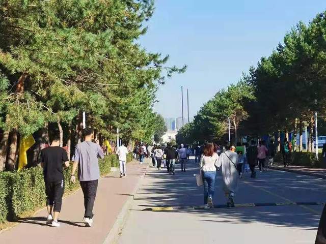 每日一赛在线观看