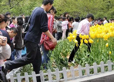 在线观看中字无