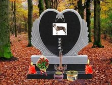 午夜福利电影在线观看服务