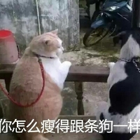 无尽寸止 无尽寸止从字面上看