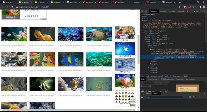 月夜免费观看完整版下载 完整公共Wi-Fi可能不安全
