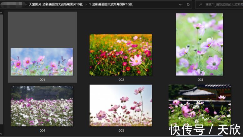 马蹄铁系列电影