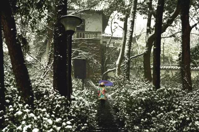 久久国产精品佐山爱