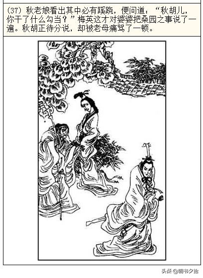 欧美特级黄片免费看